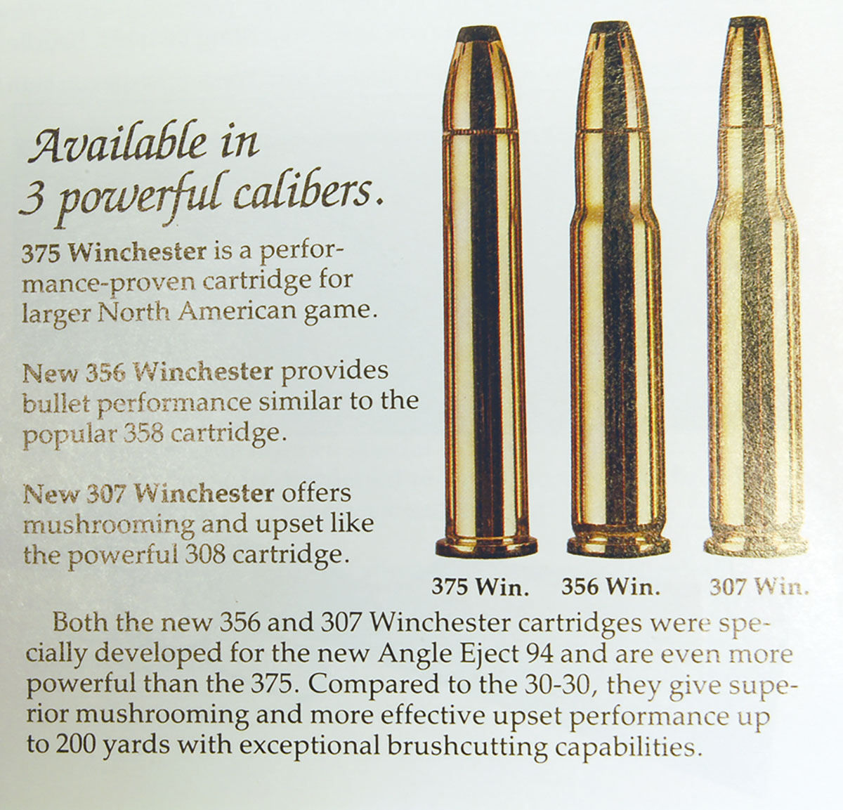 Cartridge Board | Handloader Magazine
